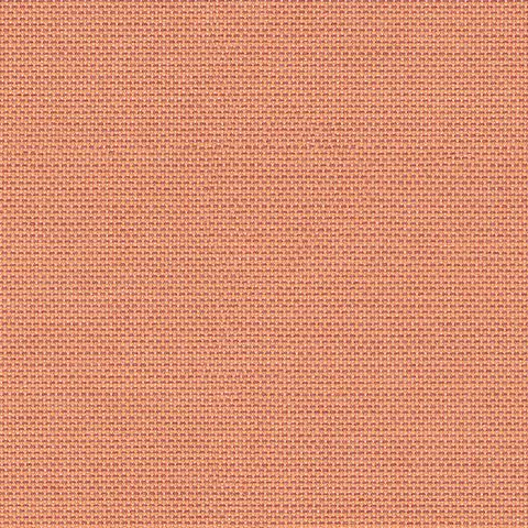 Bibliotheque Solids Koi